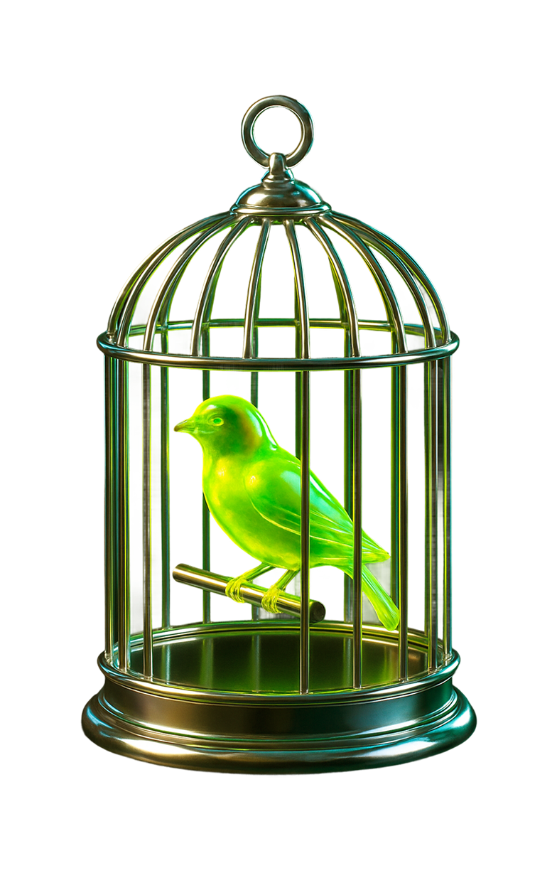 Bird in a cage